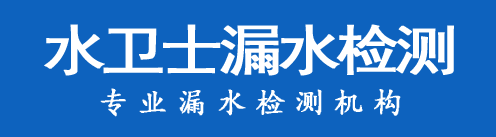 梁子湖区暗管漏水检测