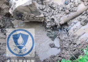 梁子湖区水管漏水检测公司5